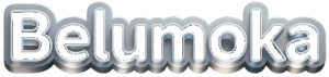 Logo de la Agencia de marketing Digital Belumoka